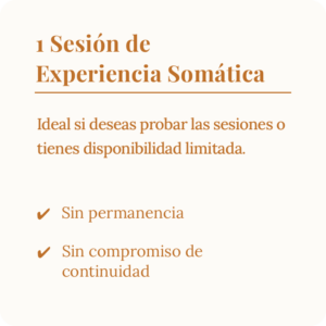 Imagen de producto 4 Sesiones de Experiencia Somática SE