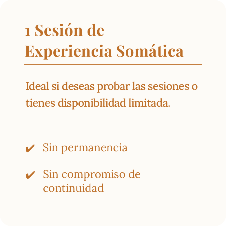 Imagen de producto 4 Sesiones de Experiencia Somática SE